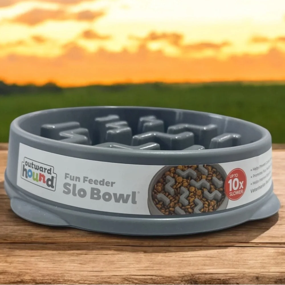 Outward Hound Fun Feeder Slo Bowl -